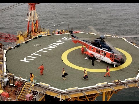 Kittiwake landing